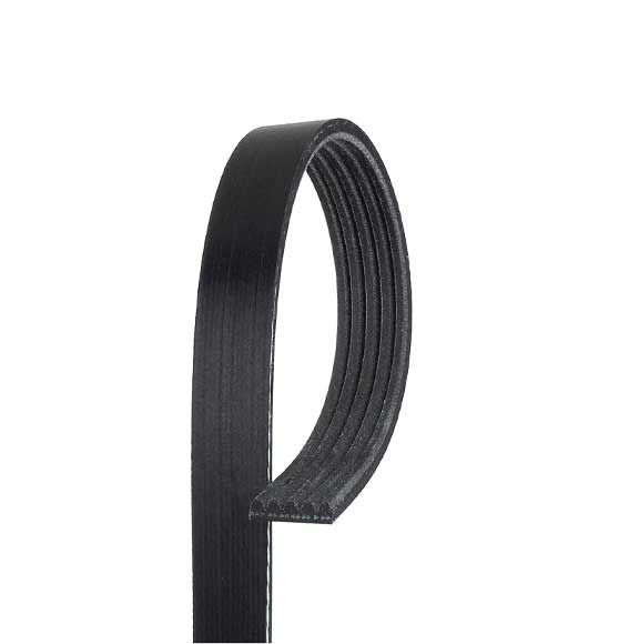 V Ribbed Belt 5Pk1310 For Mercedes Benz 0019938296