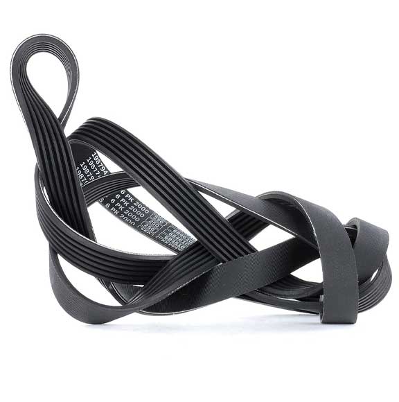 V Ribbed Belt 6Pk2445 For Mercedes Benz 0099971892