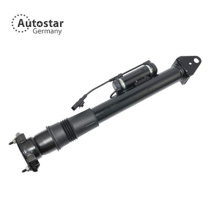 Shock Absorber For Mercedes-Benz W166 X166 Ml350 1663200500