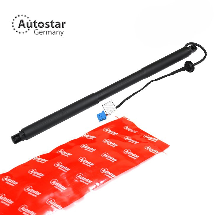 Tailgate Strut Right Mercedes-Benz Gle Off-Road W166 1668901130