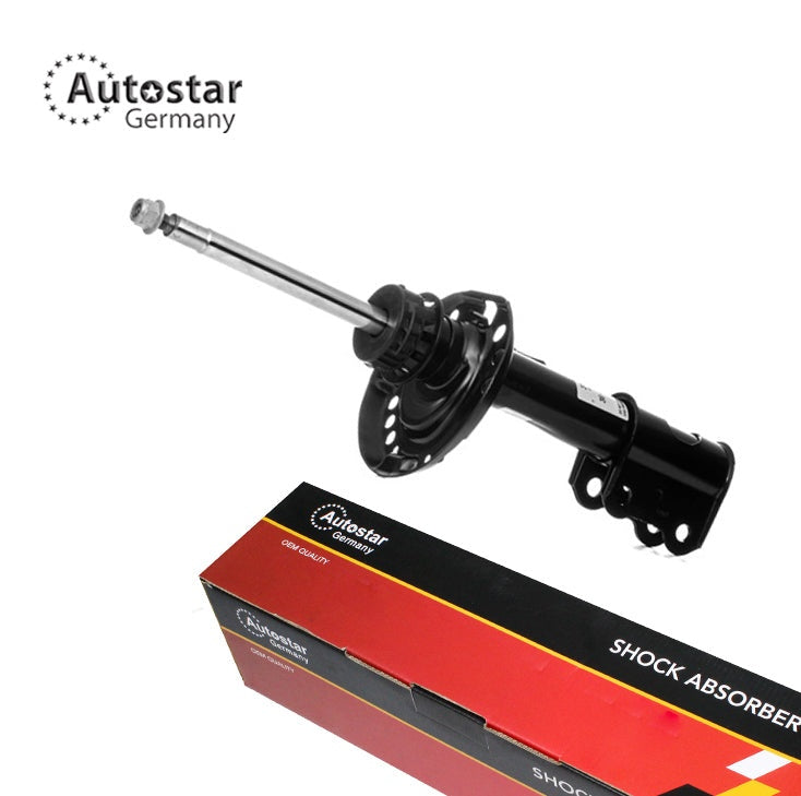 Shock Absorber Left Mercedes-Benz B-Class W246 W242 1763231900