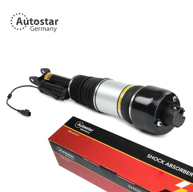 Air Suspension Strut Front Axle Left Mercedes-Benz Cls Coupe C219 2193201113