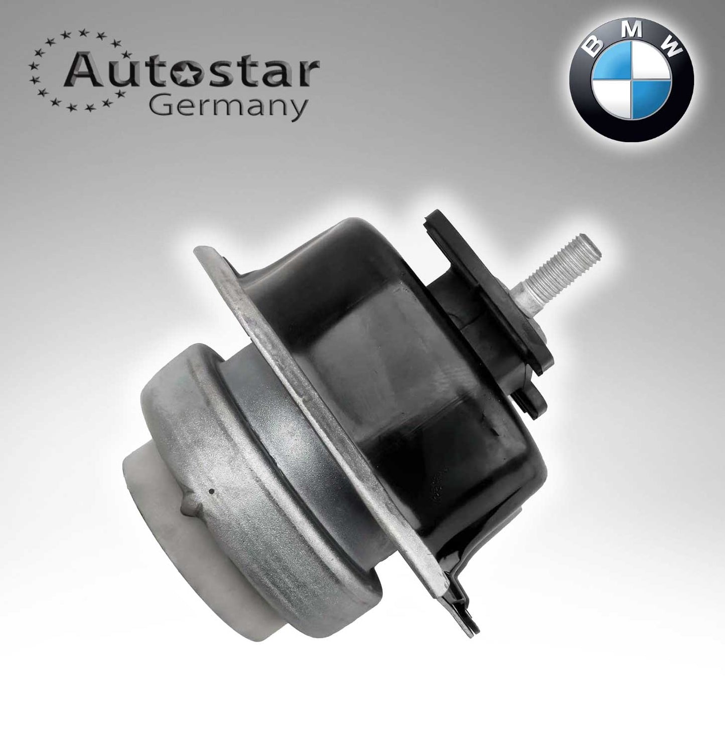Engine Mounting For Bmw E70 22116865146 22116780260
