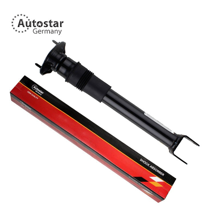 Shock Absorber Rear Axlemercedes-Benz R-Class W251 V251 2513202131