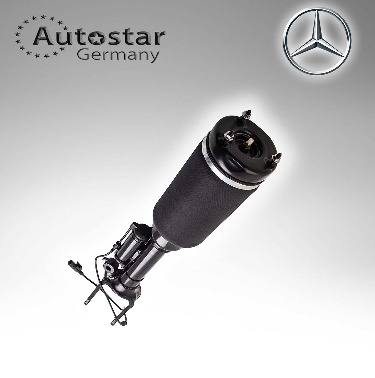 Shock Absorber Left Right For Mercedes Benz 2513203013