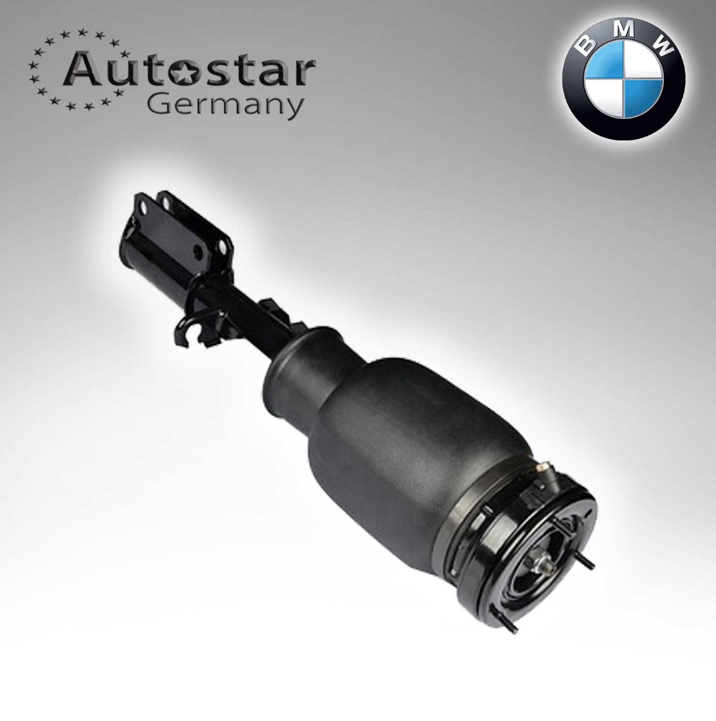 Shock Absorber Front Right For Bmw X5 37116761444