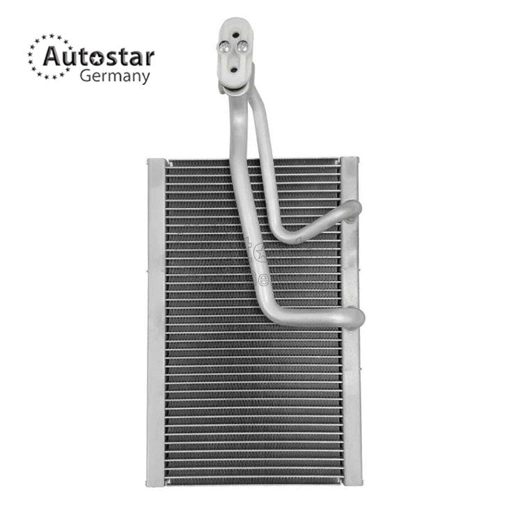 Evaporator Db Mercedes Benz W463 4638300700