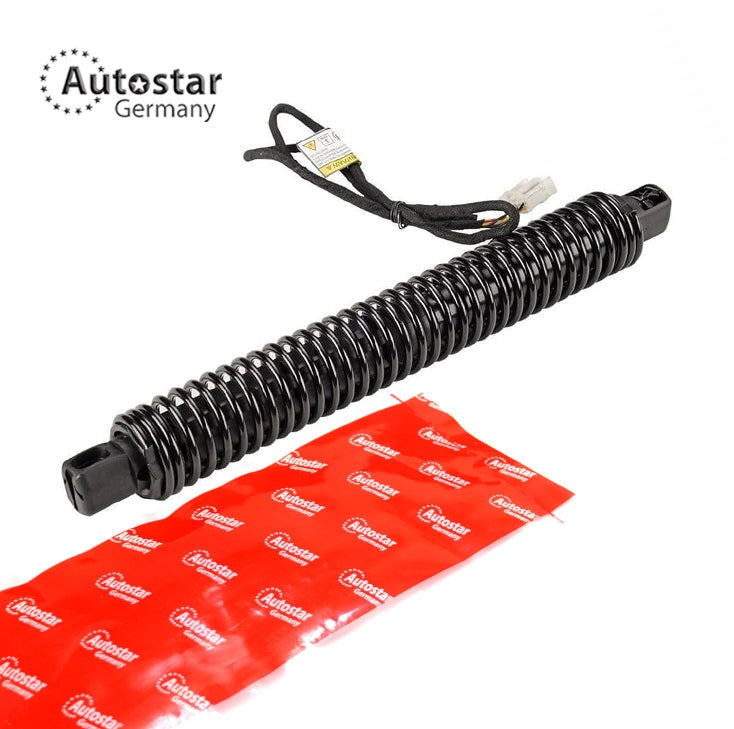 Gas Spring Electric Rh Bmw 5 Saloon F10 51247207010