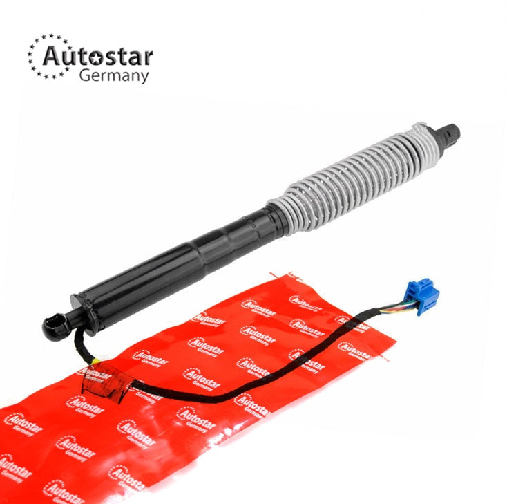 Tailgate Strut Left Rear Bmw 5 Saloon G30 F90 51247366403