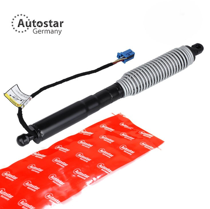 Tailgate Strut Right Rear Bmw 5 Saloon G30 F90 51247366404