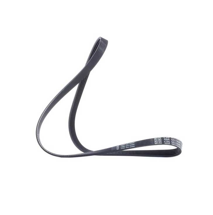 V Ribbed Belt 079903137Ab For Bmw E36 Audi Both 5Pk1125