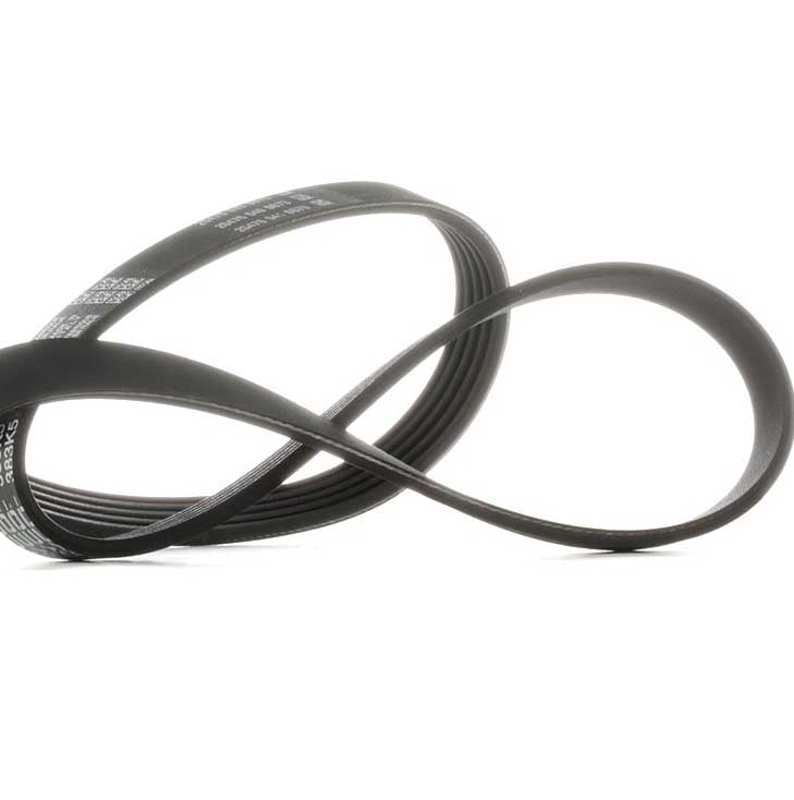 V Ribbed Belts E32 E52 For Bmw 5Pk975