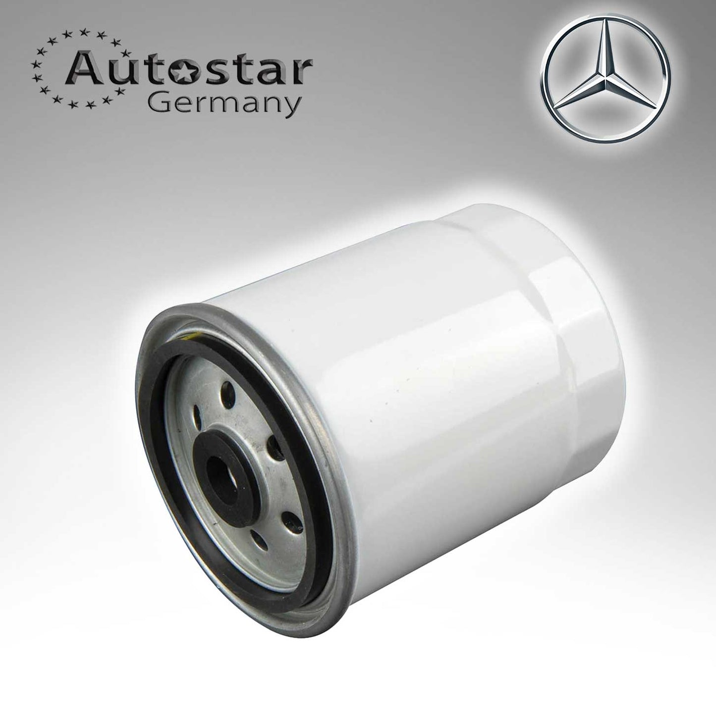 Fuel FilterFor Mercedes Benz 6010900352
