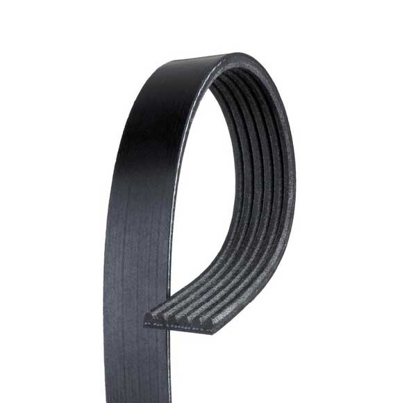 V-Ribbed Belt 0019939796 For Mercedes Benz 6Pk2425