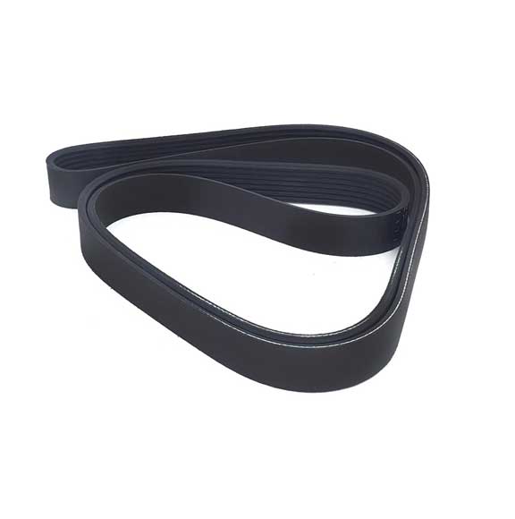V-Ribbed Belt 0009930496 For Mercedes Benz 8Pk1244