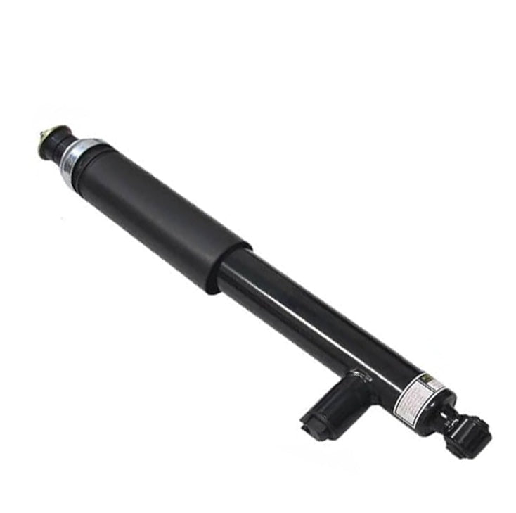 Shock Absorber Rear Left Slc300, Slc43 Amg 1723203130