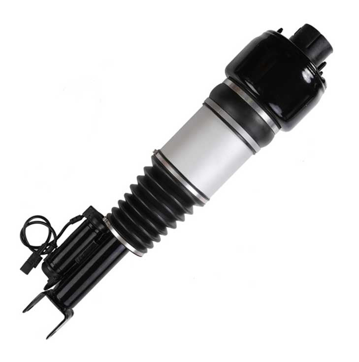 Shock Absorber 2193201213