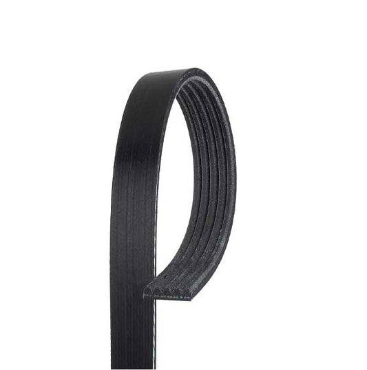 V Ribbed Belt 5Pk1310 For Mercedes Benz 0019938296