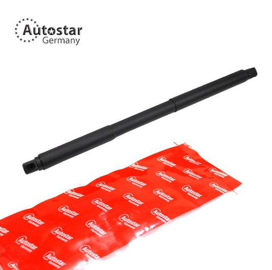 Tailgate Strut Left Rear Mercedes-Benz Ml-Class W166 1669802164