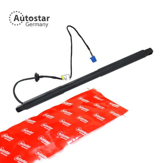 Tailgate Strut Mercedes-Benz Gl X166 1669803764