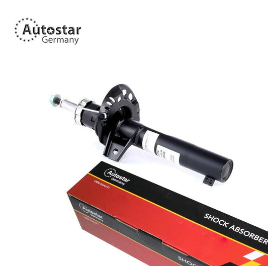 Shock Absorber Front Axle Volkswagen Caddy Iii Van 2Ka 2Kh 2Ca 2Ch 1K0413031Bk