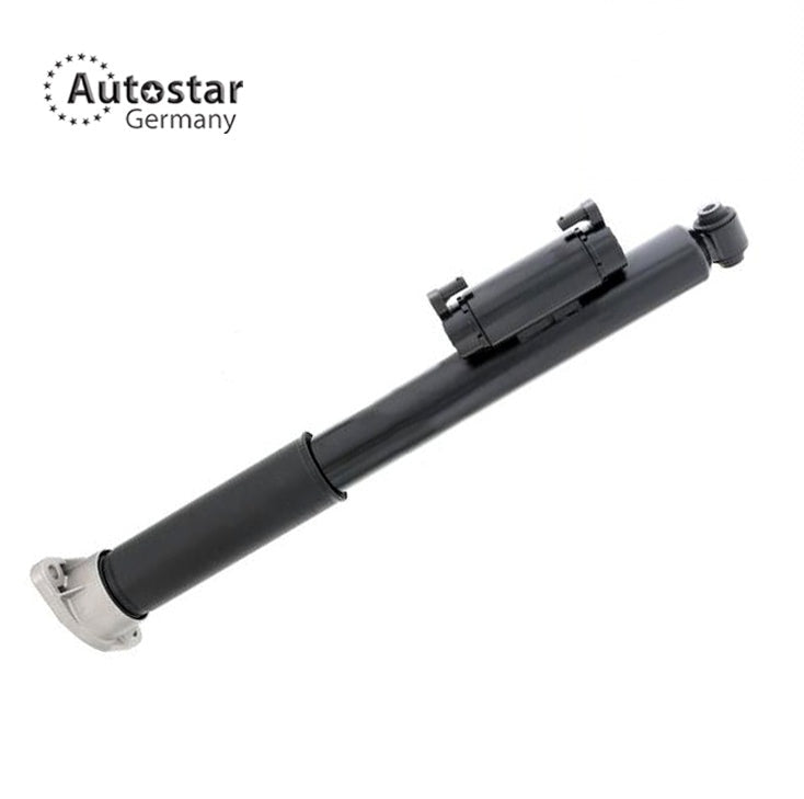 Shock Absorber Rear Lh W205 2053207503