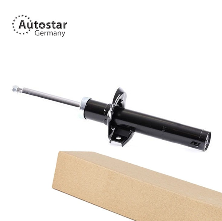 Shock Absorber Front Axle Volkswagen Passat Nms A32 A33 3C0413031L