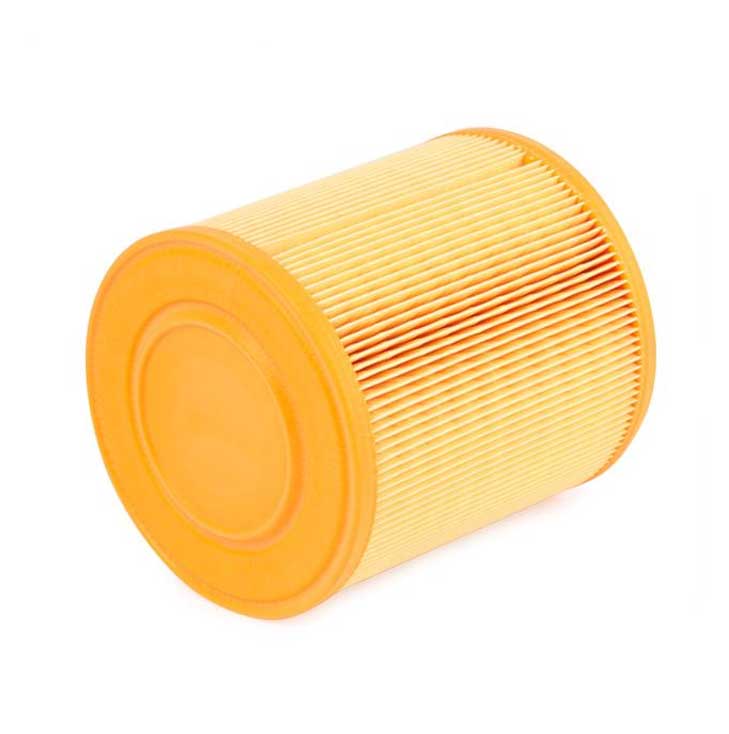 Air Filter For Audi 4F2 4F5 4F0133843A