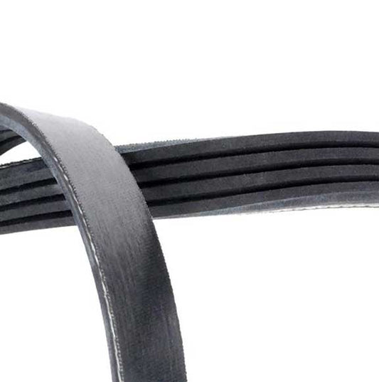 V-Ribbed Belt 0039934196 For Mercedes Benz Bmw Both 4Pk900