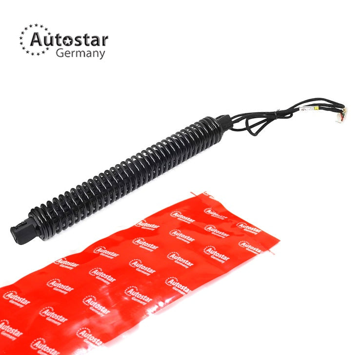 Gas Spring Electric Rh Bmw 7 F01 F02 F03 F04 51247185714