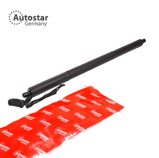 Gas Spring Electric Lh Bmw X3 F25 51247232003