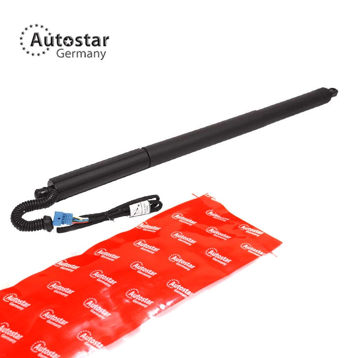 Gas Spring Electric Rh Bmw X3 F25 51247232004