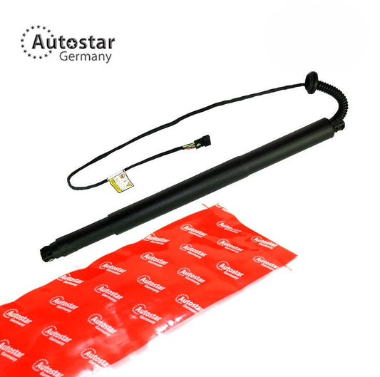 Gas Spring Electric Lh Bmw X6 F16 F86 51247318651