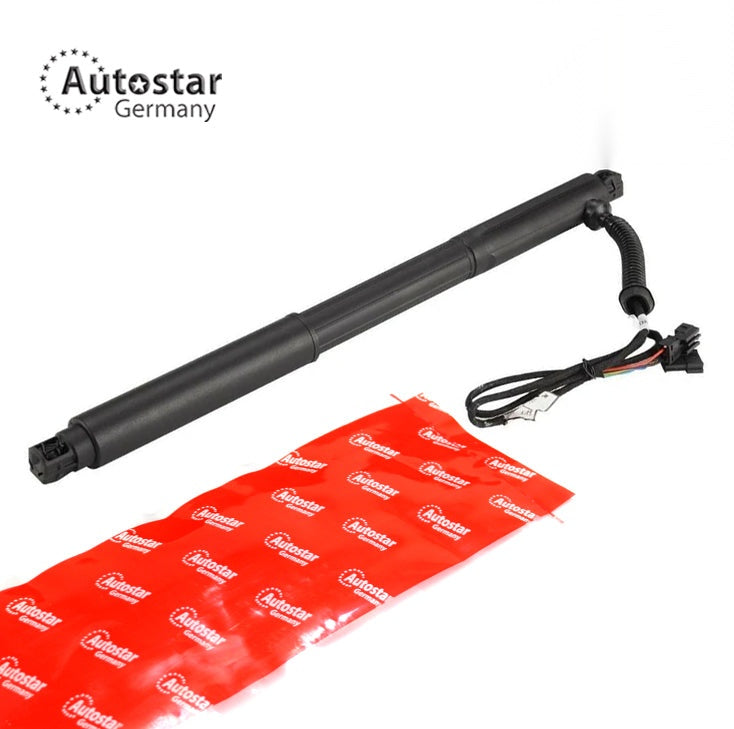 Tailgate Strut Left Rear Bmw X5 E70 51247332695