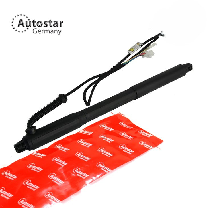 Tailgate Strut Right Bmw X5 E70 51247332696