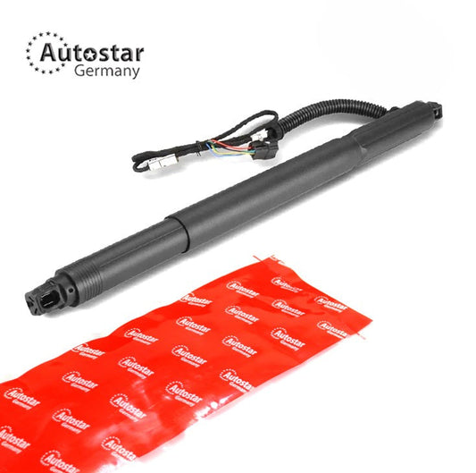 Gas Spring Electric Lh Bmw X6 E71 2008 2014 X6 E72 51247332697