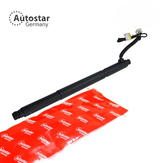 Tailgate Strut Right Rear Bmw X6 E71 E72 51247332698