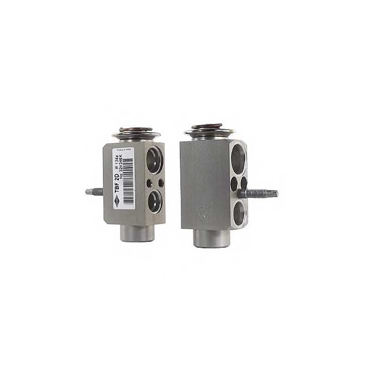 Expansion Valve Air Conditioning For Bmw 64116981100