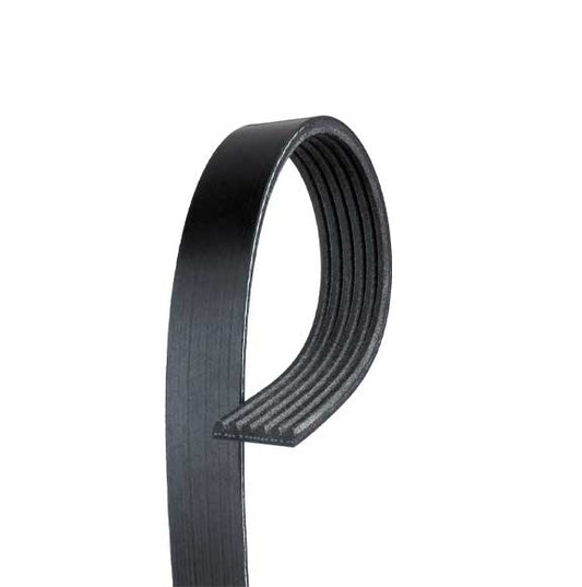 V-Ribbed Belt 11288646472 For Bmw 6Pk1163