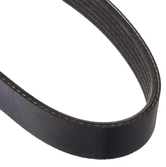 V-Ribbed Belt 0039935696 For Mercedes Benz Bmw Both 6Pk1995