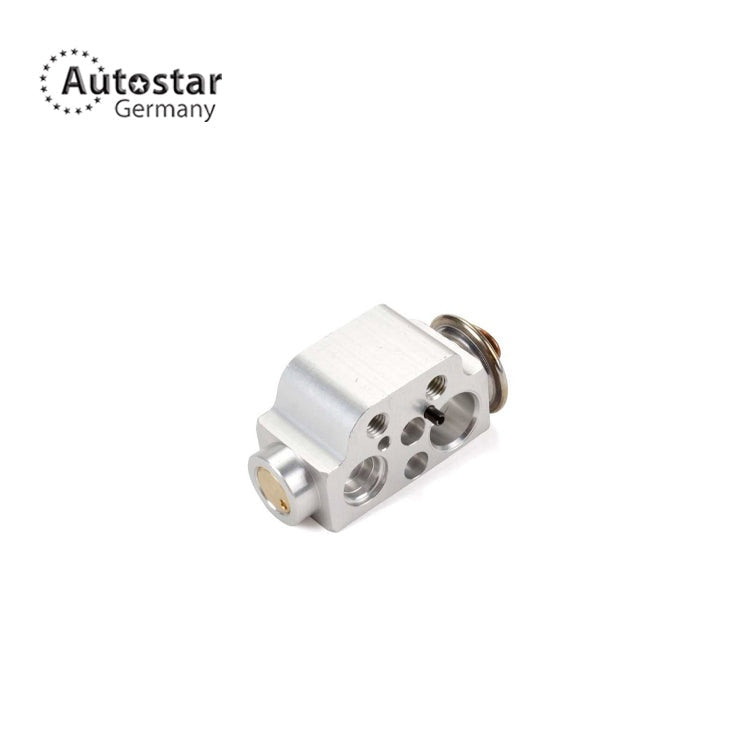 Expansion Valve Vw Touareg 2006 2007 7L0820679A