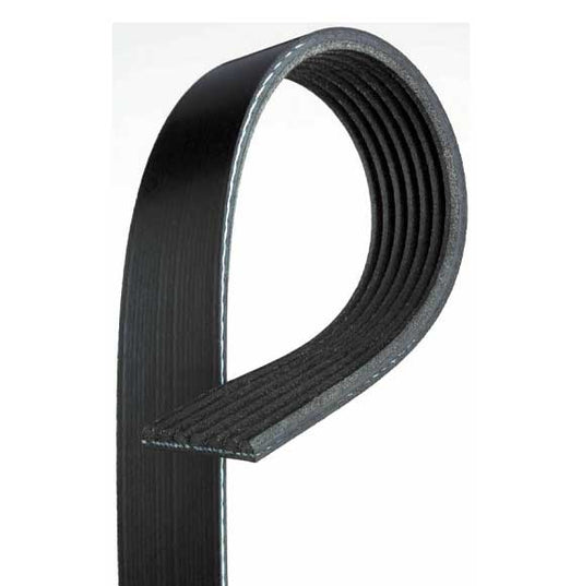 V-Ribbed Belt 11287631823 For Bmw 7Pk1627