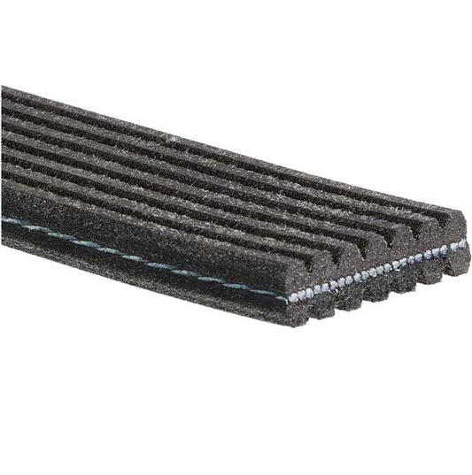 V-Ribbed Belt Lr071040 For Land Rover 8Dpk1430