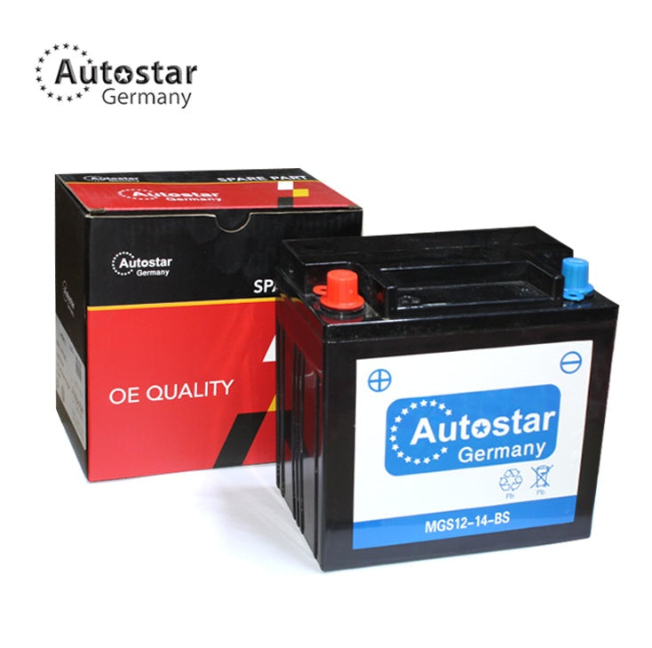 Battery Sport Vogue 12V 15Ah 200A Lr176847