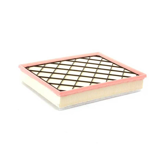 BMW  Air Filter  13717798342