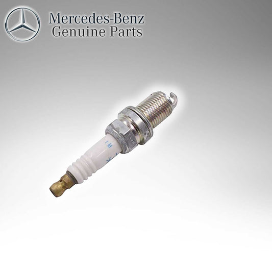 Spark Plug 0041593003