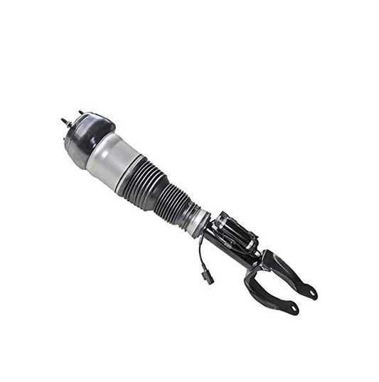 Air Suspension Strut 1663205666