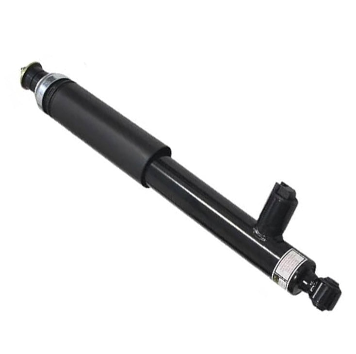 Shock Absorber Rear Right Slc300, Slc43 Amg 1723203230