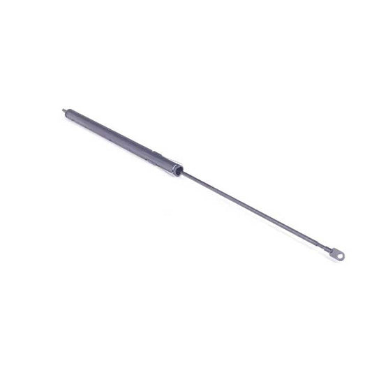 Bonnet Shock 2018800329