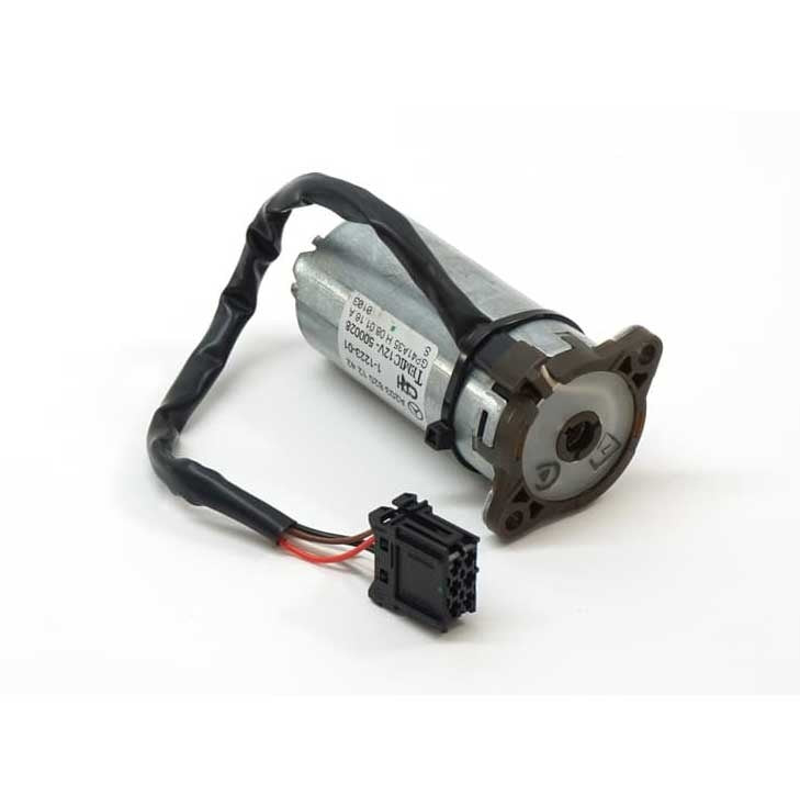 Electric Motor 2038201242